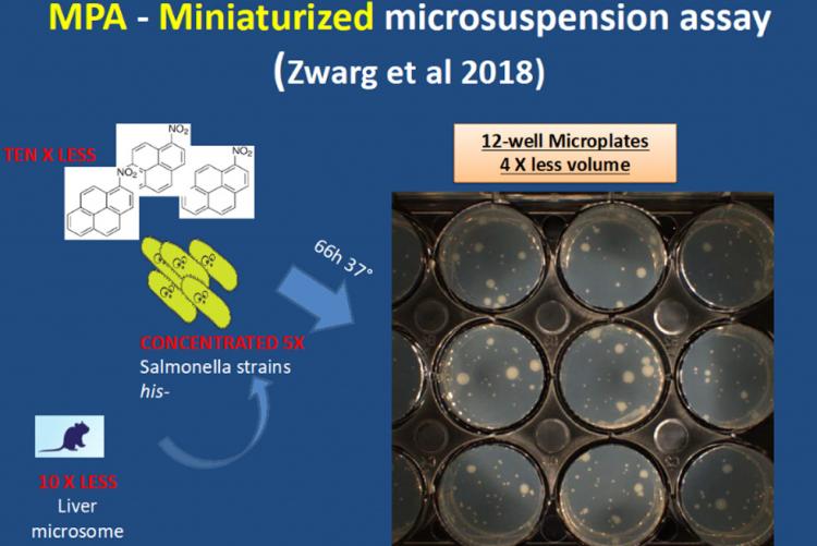 Esquema do teste de mutageniciade miniaturizado (MPA) desenvolvido pelo grupo da FT